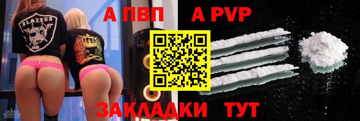 Альфа ПВП СК КРИС Армавир