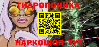 сатива Бузулук