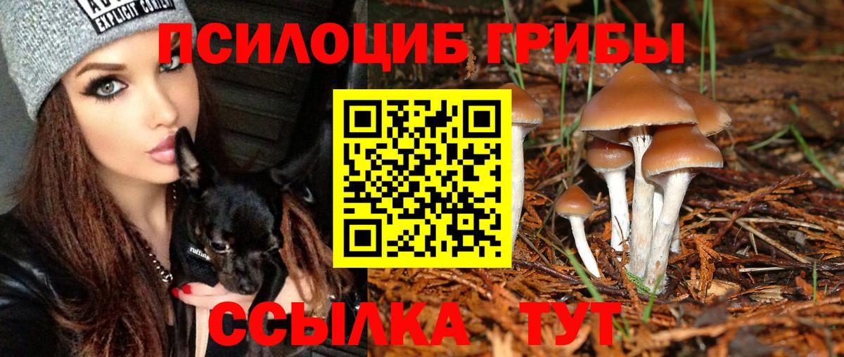 как найти наркотики  Галлюциногенные грибы мухоморы  Вход с VPN  Армавир 