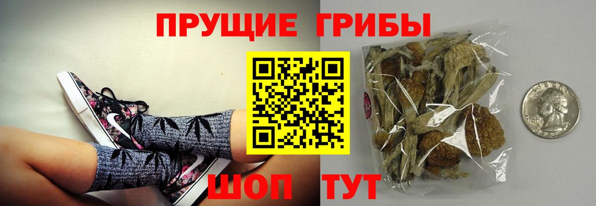 Галлюциногенные грибы Magic Shrooms Армавир